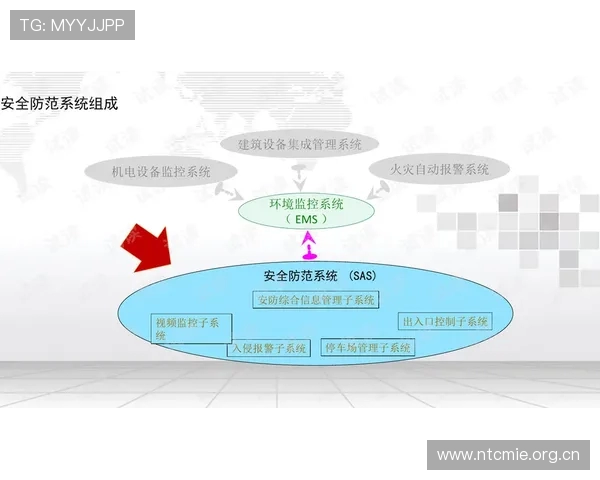 体育场馆智能化系统的年度运营维护赛